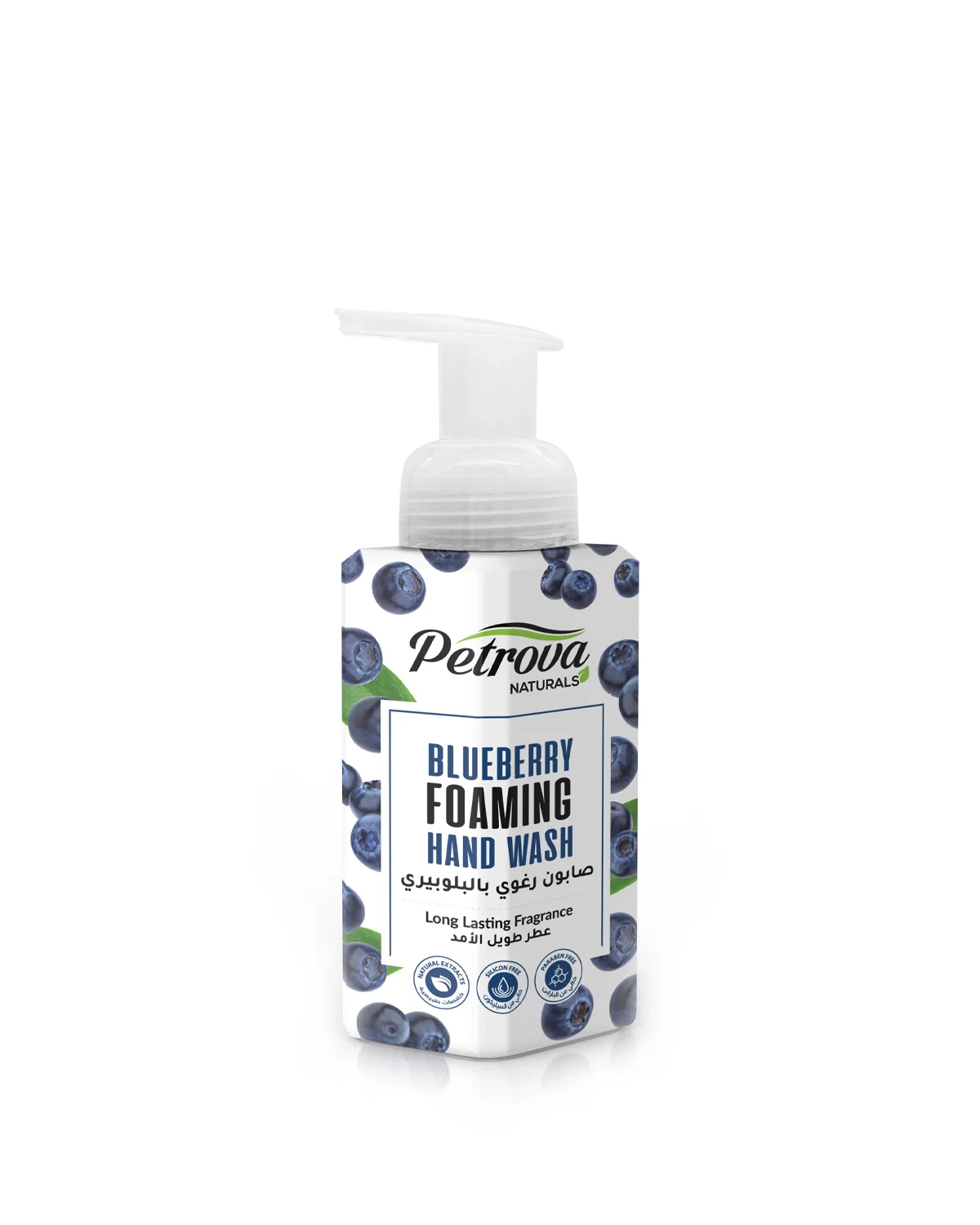 Blueberry Foaming Hand Wash